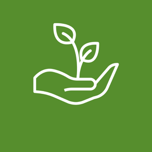 Naturopatia